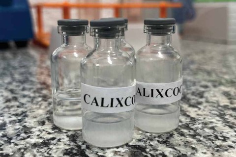 Calixcoca - Mais Uma Possível Conquista da Ciência Brasileira