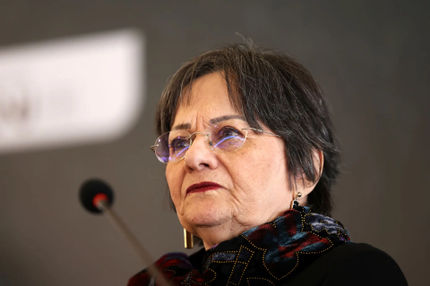 Falsificação de Laudo Apresentado em Documentário sobre a Lei Maria da Penha coloca Brasil Paralelo no centro de Investigação