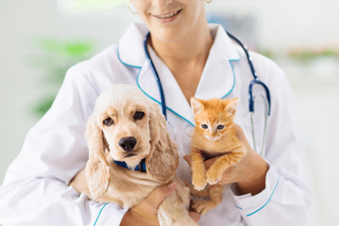 Medicina Veterinária - A incrível arte da vida!