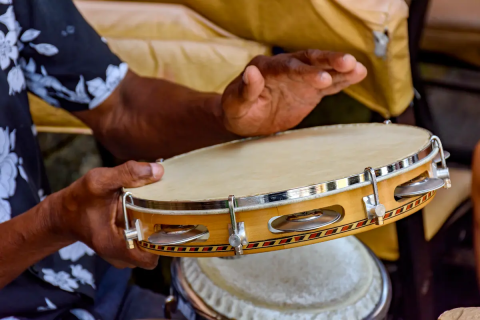 Dia Nacional do Samba: Celebrando a Alegria e a Diversidade da Música Brasileira