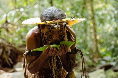 Ewé Ìwòsàn: Hortos Medicinais, Ancestralidade e Sustentabilidade Urbana