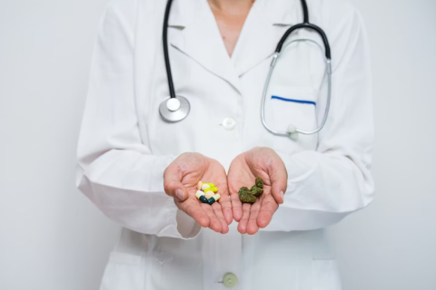 Uso Medicinal da Cannabis no Brasil